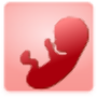 Edad Gestacional icon