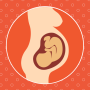 Guide de grossesse pour les mamans icon