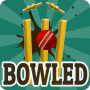 Bowled 3D - Cricket Game