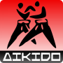 Aikido training