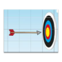 Bow And Arrow Shoot