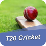 T20 Cricket-Fantasy Cricket Online Betting Games