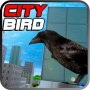 City Bird