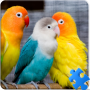 Birds Jigsaw Puzzle + LWP