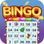 Bingo Joy-Funny Games