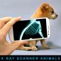 Xray Scanner Animals Prank