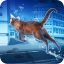 Gato flotante bajo el agua gratis icon