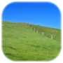 MFI simples icon