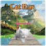 Cat Run