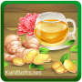 گیاهان دارویی و میوه ها pharmasina- اطلاعا× جامعER °ا alors دار° cingle en ligne de drogue , icon