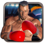 Real 3D Boxing Punch