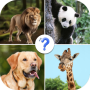 Guess The Animal: Animals Quiz