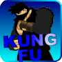 Kung Fu Fighter