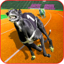 Campeonato real de carreras de perros icon