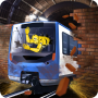 Subway Crash Test Simulator