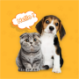 Aplicación de broma para traductores de perros y gatos icon
