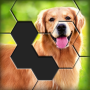 Hexa World Jigsaw - Free Puzzle Quest