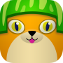 Gato de sandía icon