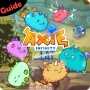 Axie Infinity game - Scholarship Guide