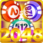 2048 Chip: Lucky Winner