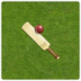 GullyCricket Scorer Free