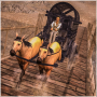 Police Horse Cart Prisoner Transport in Wild West