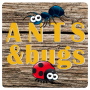 Ants and Bugs - Roll them over