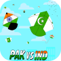 India Vs Pakistan Basant Festival 2022