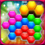 Hexa Blocks Logic Puzzles