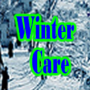 Soins dhiver icon