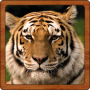Sonidos de la fauna icon