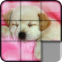 Sliding Puzzle Dogs & Puppies