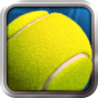 Pro Tennis 2014