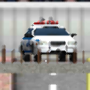 Police Car City Operations 3d