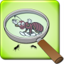 Meilleure loupe icon