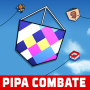 Kite Flying Festivals - Pipa C