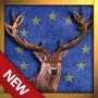 Europe: Bow Hunt Wild Animals