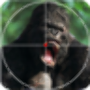 Angry Gorilla Shooting Game