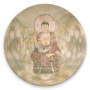 Медицина Будда Дхарані icon