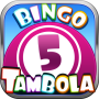 Bingo - Tambola | Twin Games