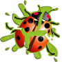 LadyBug Smasher