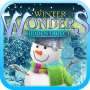 Hidden Object - Winter Wonders