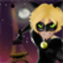 Adventures Miraculous Cat Noir