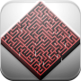 Maze : Survival in the dark