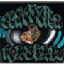 Conexão radial icon