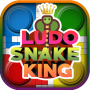 Ludo Snake King