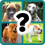 ALL QUIZ: Razas de perro