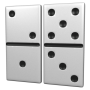 Domino Puzzle