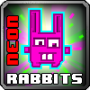 Neon rabbits