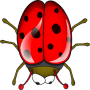 Les insectes sont squish icon